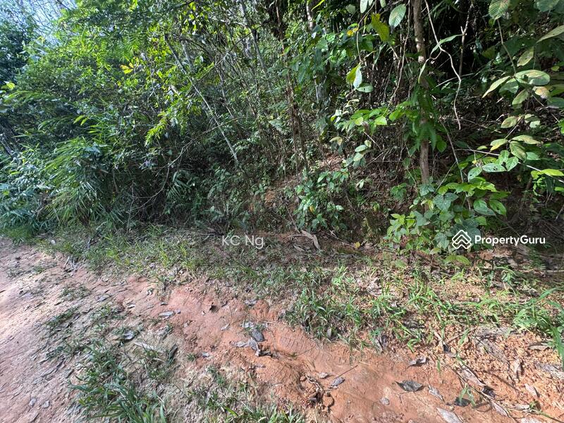 Untuk Dijual - Agriculture Land @ Gerik, Hulu Perak