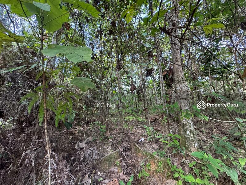 Untuk Dijual - Agriculture Land @ Gerik, Hulu Perak