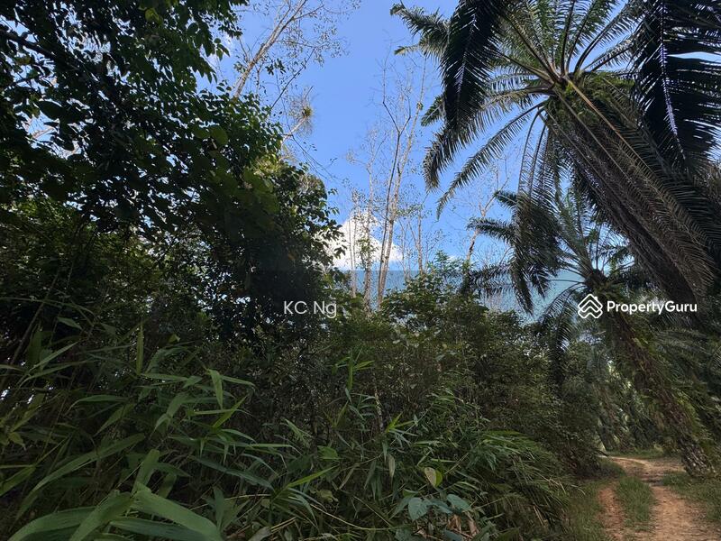 Untuk Dijual - Agriculture Land @ Gerik, Hulu Perak