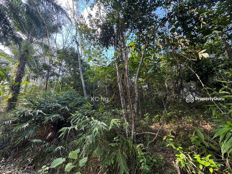 Untuk Dijual - Agriculture Land @ Gerik, Hulu Perak