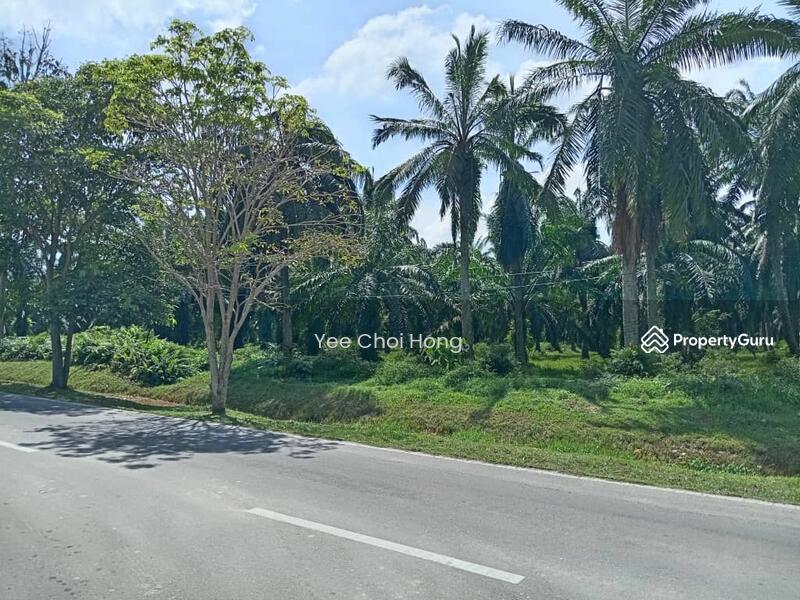 Tanah Pertanian untuk Dijual di Changkat (Nibong Tebal) - Yee Choi Hong - PropertyGuru.com.my