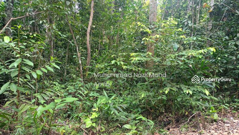 For Sale - Kampung Air Betang