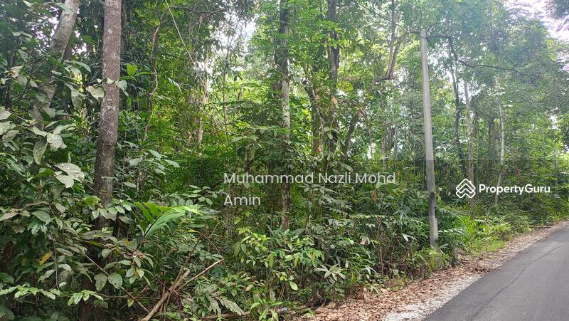 For Sale - Kampung Air Betang