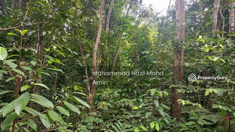 For Sale - Kampung Air Betang