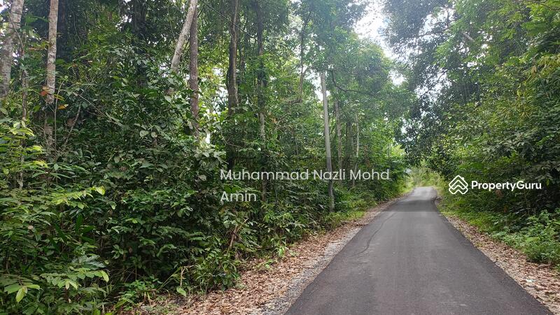 For Sale - Kampung Air Betang