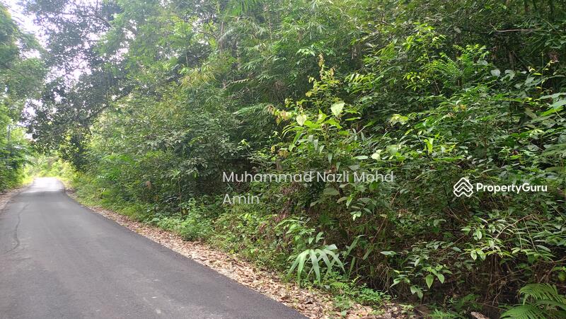 For Sale - Kampung Air Betang