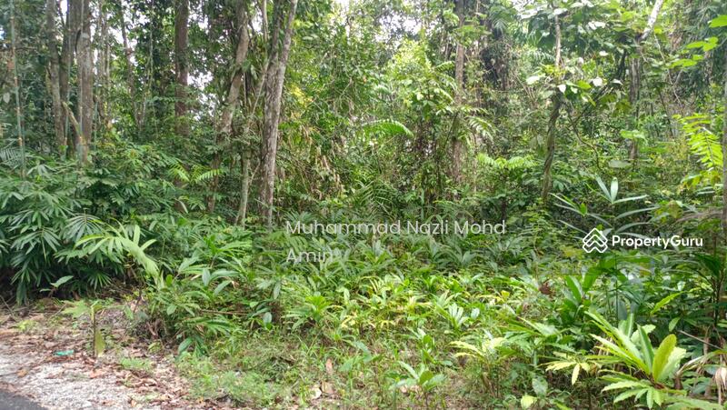 For Sale - Kampung Air Betang