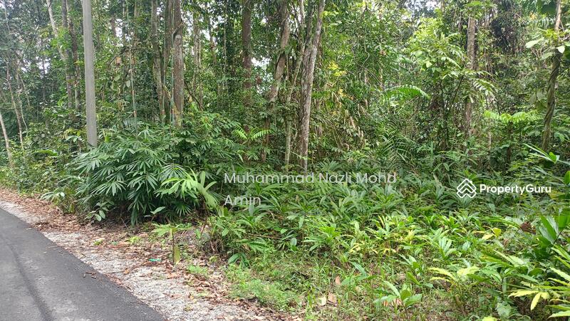 For Sale - Kampung Air Betang
