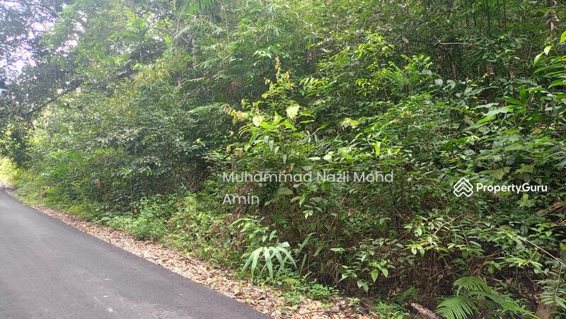 For Sale - Kampung Air Betang