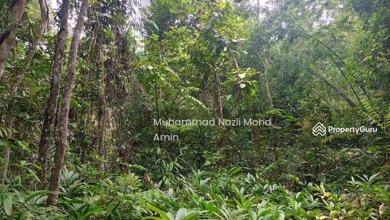 For Sale - Kampung Air Betang