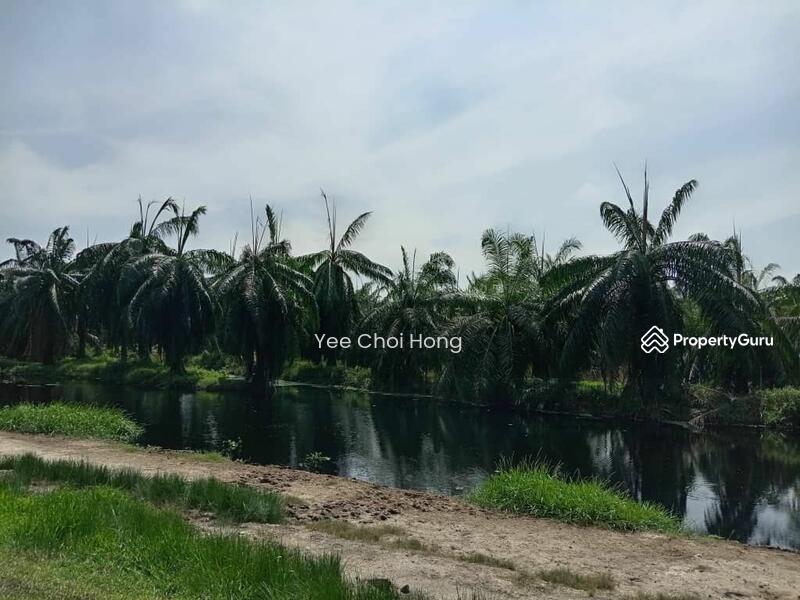 Tanah Pertanian untuk Dijual di Changkat (Nibong Tebal) - Yee Choi Hong - PropertyGuru.com.my