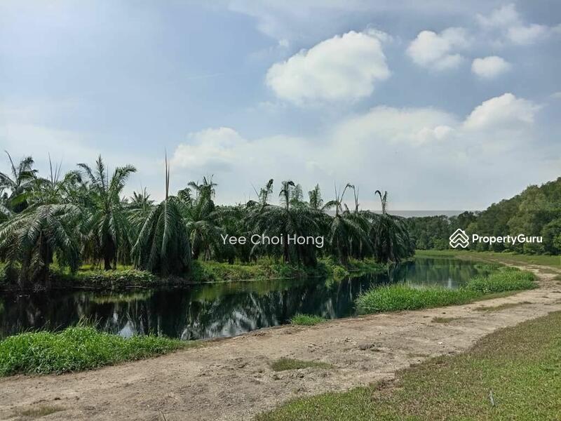 Tanah Pertanian untuk Dijual di Changkat (Nibong Tebal) - Yee Choi Hong - PropertyGuru.com.my