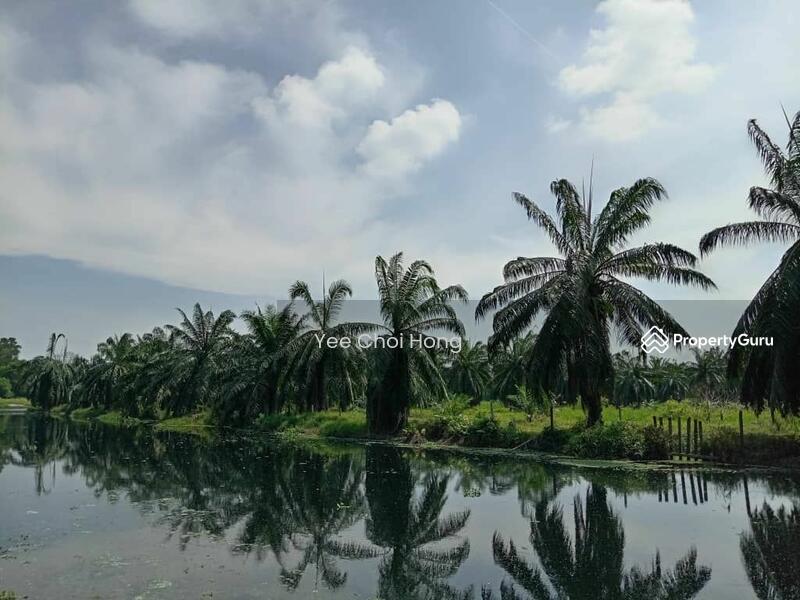 Tanah Pertanian untuk Dijual di Changkat (Nibong Tebal) - Yee Choi Hong - PropertyGuru.com.my