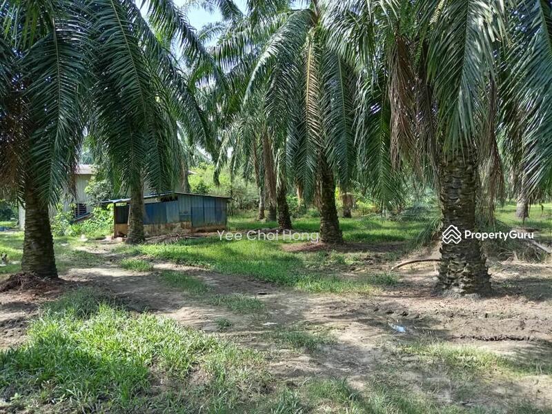 Tanah Pertanian untuk Dijual di Changkat (Nibong Tebal) - Yee Choi Hong - PropertyGuru.com.my