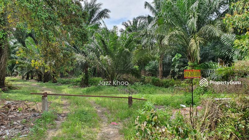 Untuk Dijual - 10 Acres Jeram Kapar Land