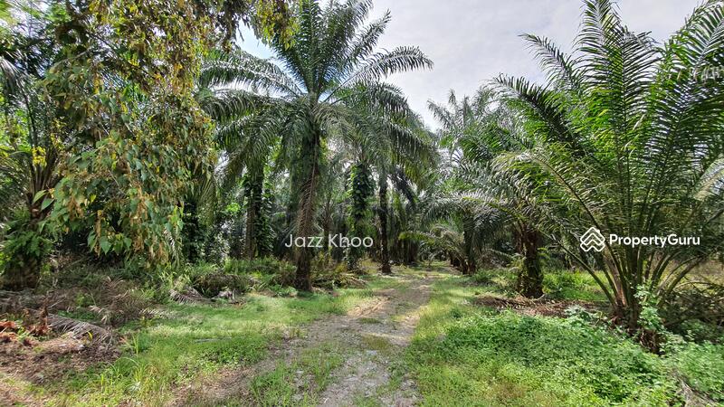 For Sale - 10 Acres Jeram Kapar Land
