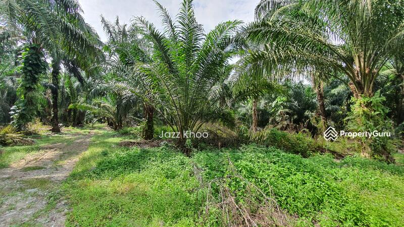For Sale - 10 Acres Jeram Kapar Land