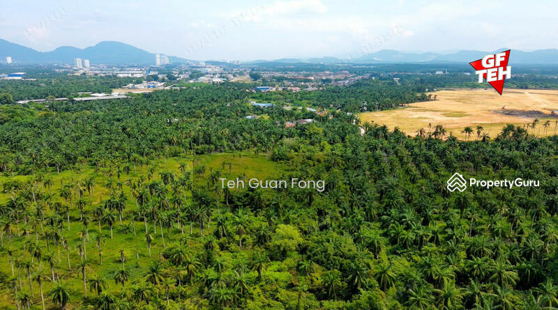 Tanah Kediaman untuk Dijual di Bukit Tambun (Simpang Ampat) - Teh Guan Fong - PropertyGuru.com.my