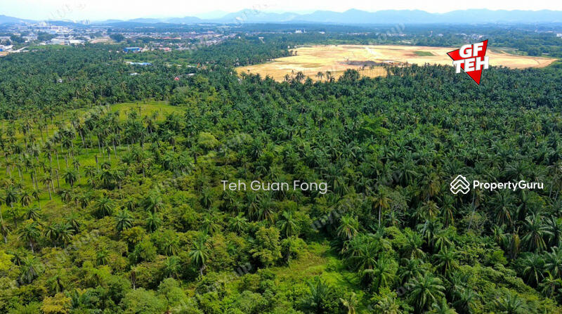 Tanah Kediaman untuk Dijual di Bukit Tambun (Simpang Ampat) - Teh Guan Fong - PropertyGuru.com.my