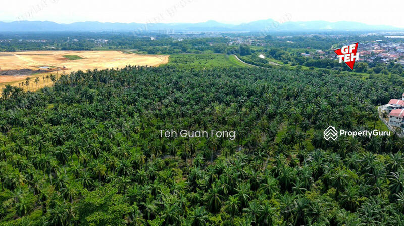 Tanah Kediaman untuk Dijual di Bukit Tambun (Simpang Ampat) - Teh Guan Fong - PropertyGuru.com.my