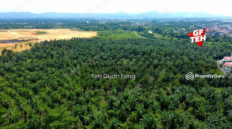 Tanah Kediaman untuk Dijual di Bukit Tambun (Simpang Ampat) - Teh Guan Fong - PropertyGuru.com.my