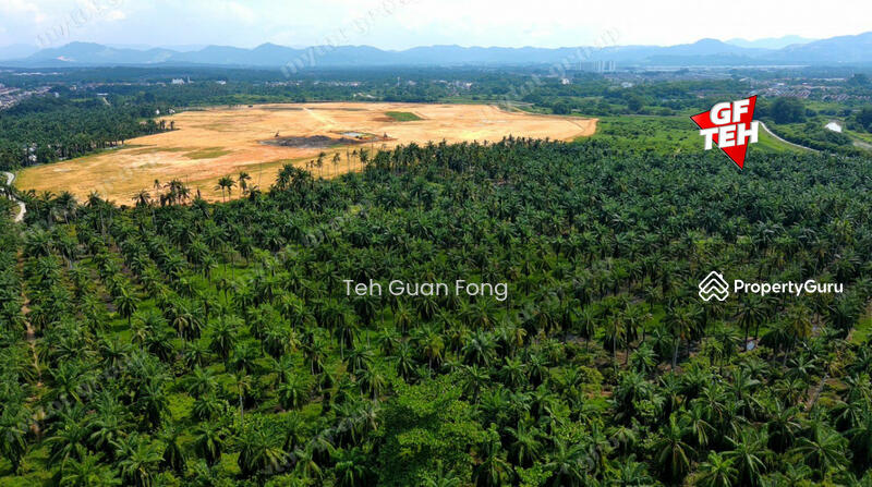 Tanah Kediaman untuk Dijual di Bukit Tambun (Simpang Ampat) - Teh Guan Fong - PropertyGuru.com.my