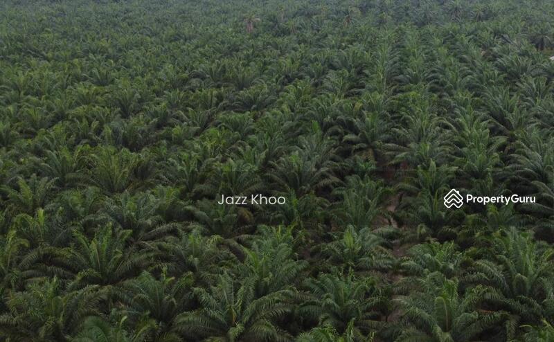 For Sale - 5 Acres Jeram Kapar Land