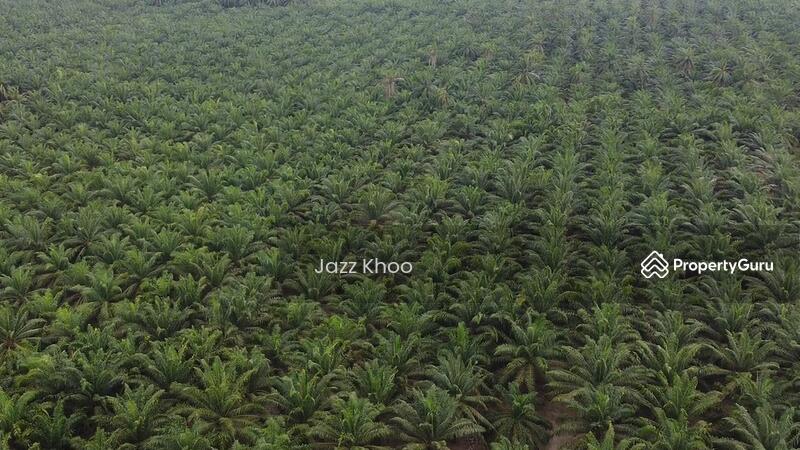 For Sale - 5 Acres Jeram Kapar Land