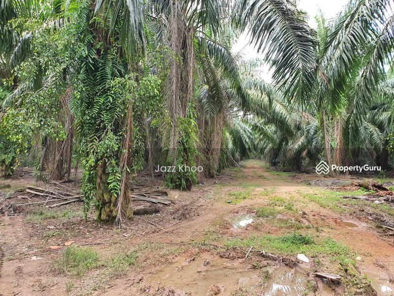 For Sale - 5 Acres Jeram Kapar Land