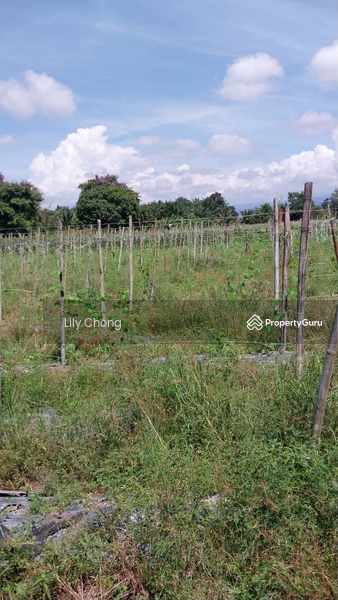 Agricultural Land for Sale in Taman Bidor Jaya (Bidor) - Lily Chong - PropertyGuru.com.my