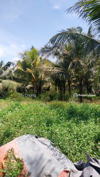 Agricultural Land for Sale in Taman Bidor Jaya (Bidor) - Lily Chong - PropertyGuru.com.my