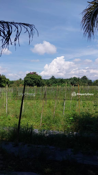 Agricultural Land for Sale in Taman Bidor Jaya (Bidor) - Lily Chong - PropertyGuru.com.my