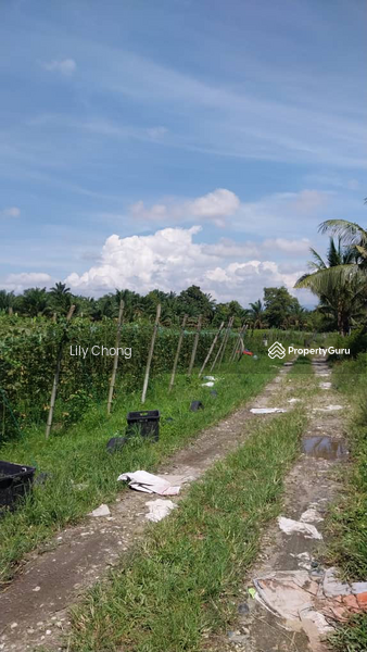 Agricultural Land for Sale in Taman Bidor Jaya (Bidor) - Lily Chong - PropertyGuru.com.my