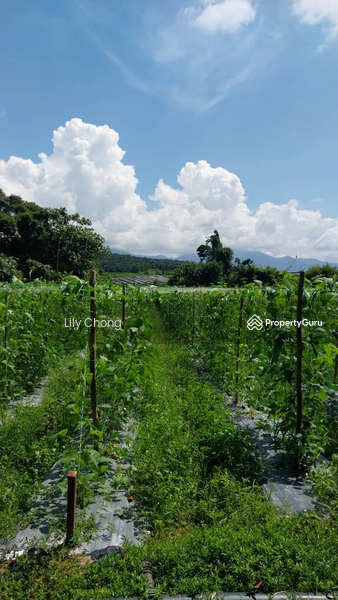 Agricultural Land for Sale in Taman Bidor Jaya (Bidor) - Lily Chong - PropertyGuru.com.my