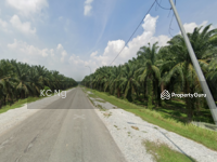 For Sale - Agriculture Land, Zonning Industry Land @ Jeniang, Gurun Kedah