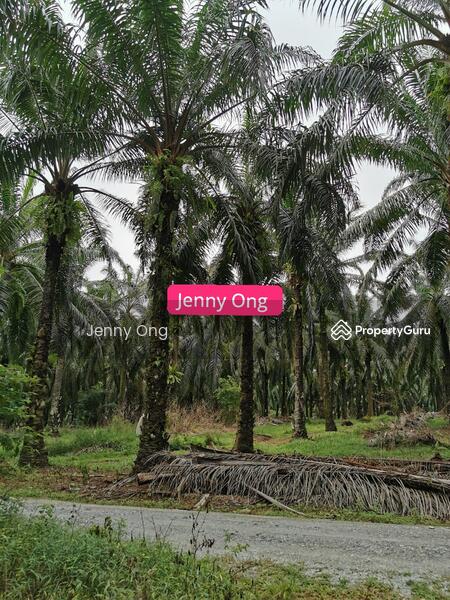 For Sale - Zoning Residential Land At Gurun,Kedah For Sale