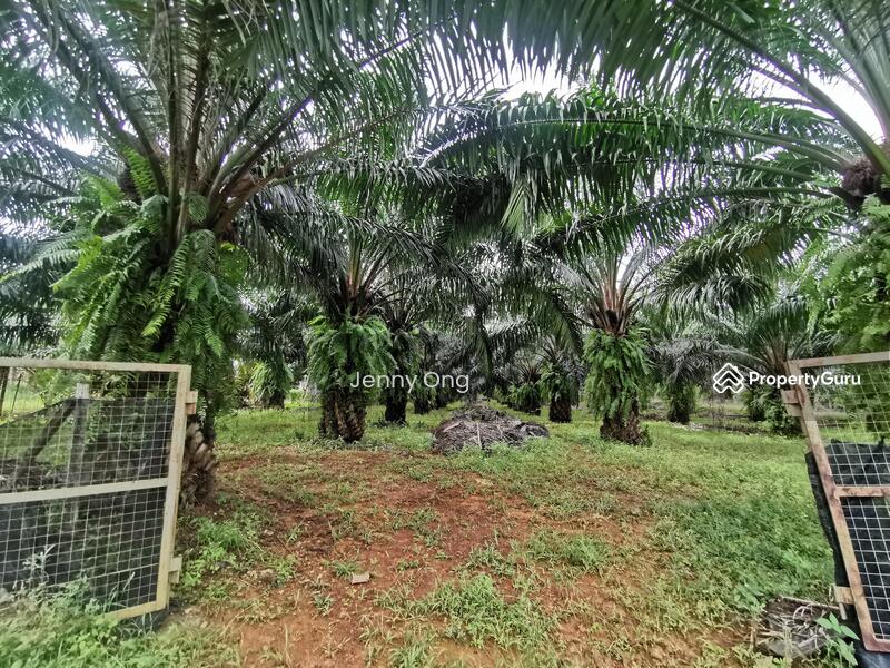 For Sale - Zoning Residential Land At Gurun,Kedah For Sale