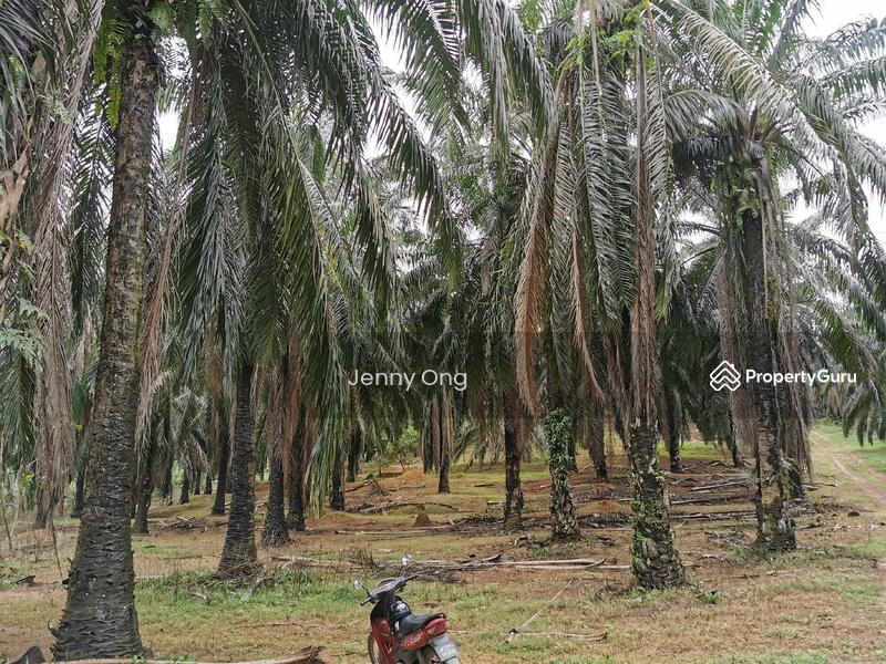For Sale - Zoning Residential Land At Gurun,Kedah For Sale