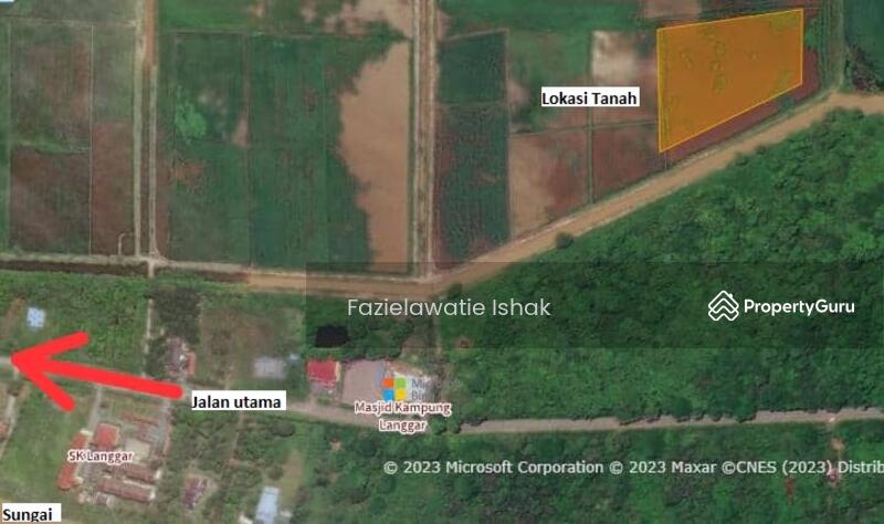 For Sale - Tanah Pertanian Sawah Di Kg Langgar, Pekan, Pahang SANGAT MURAH