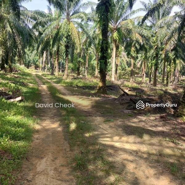Tanah Pertanian untuk Dijual di Taman Jimah Indah (Jimah) - David Cheok - PropertyGuru.com.my