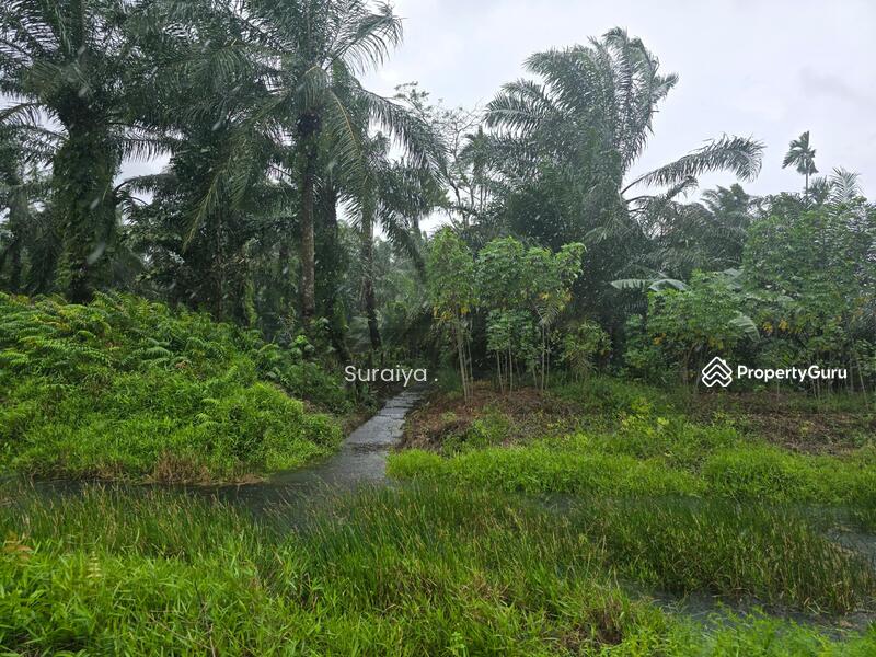 Agricultural Land for Sale in Sungai Kluang (Rengit) - Suraiya . - PropertyGuru.com.my