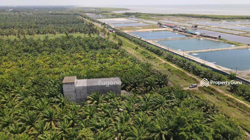 Untuk Dijual - Sungai Burong, Bagan Tengkorak @ Tanjung Karang
