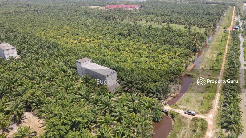 Untuk Dijual - Sungai Burong, Bagan Tengkorak @ Tanjung Karang