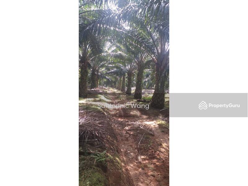 For Sale - Linggi,Negeri Sembilan