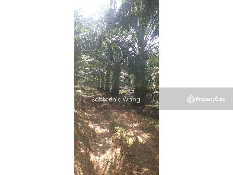 For Sale - Linggi,Negeri Sembilan