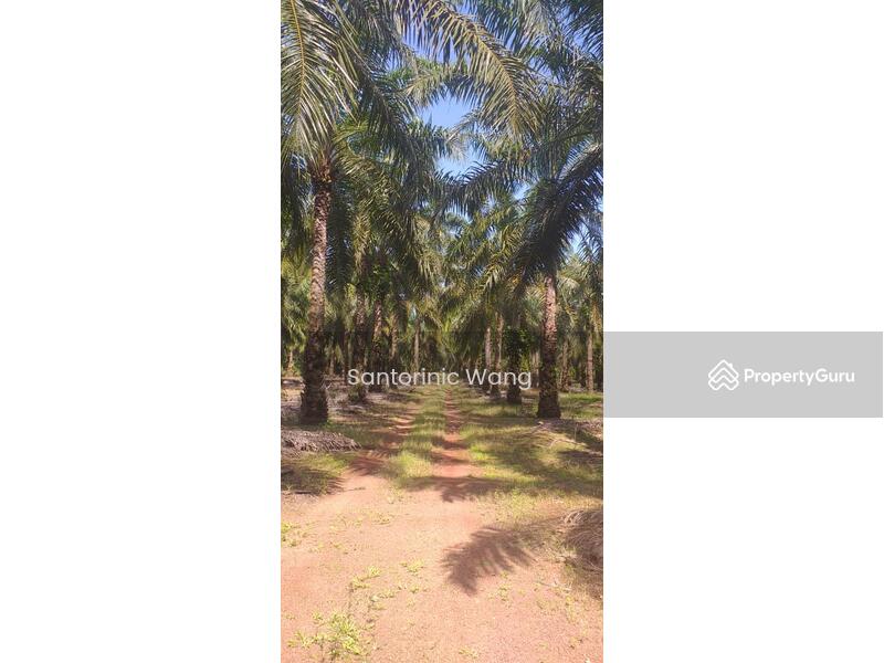For Sale - Linggi,Negeri Sembilan