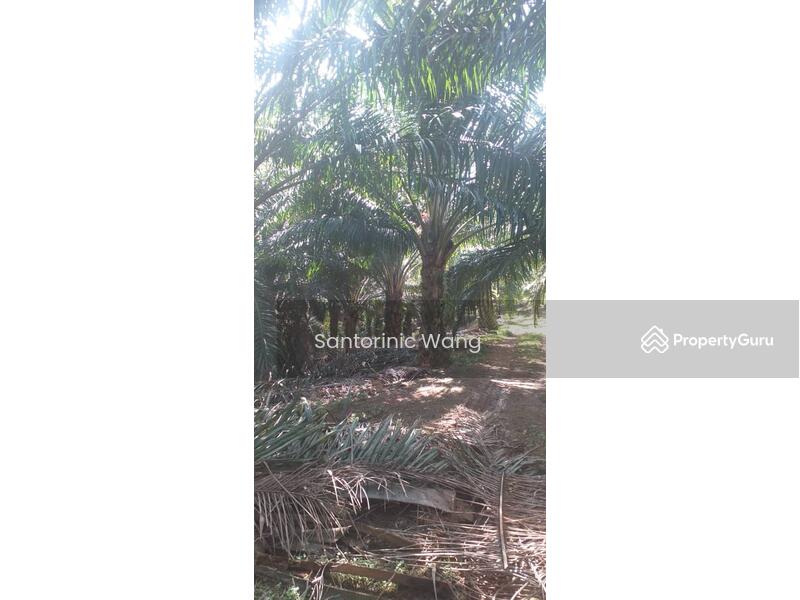 For Sale - Linggi,Negeri Sembilan