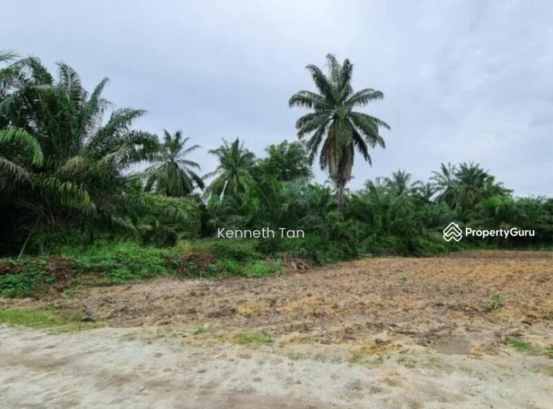 For Sale - tanjong sembrong