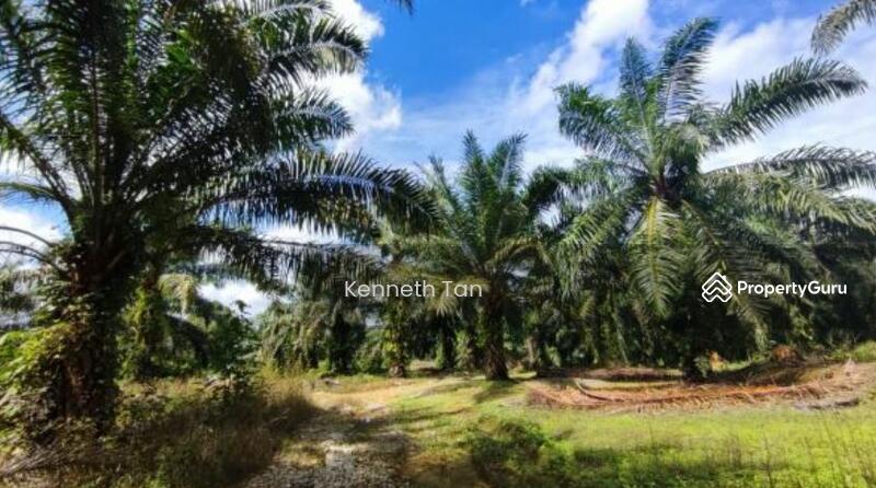 For Sale - tanjong sembrong