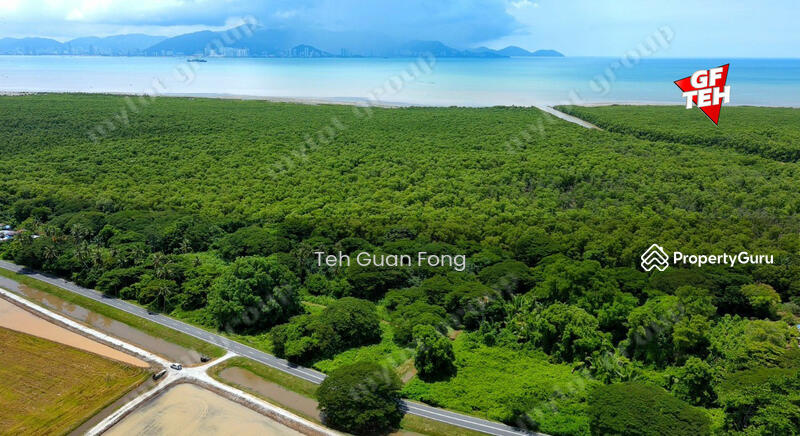 For Sale - 3.43 acre FIRST GRADE Residential Land Near Teluk Air Tawar | Butterworth | RM30 psf